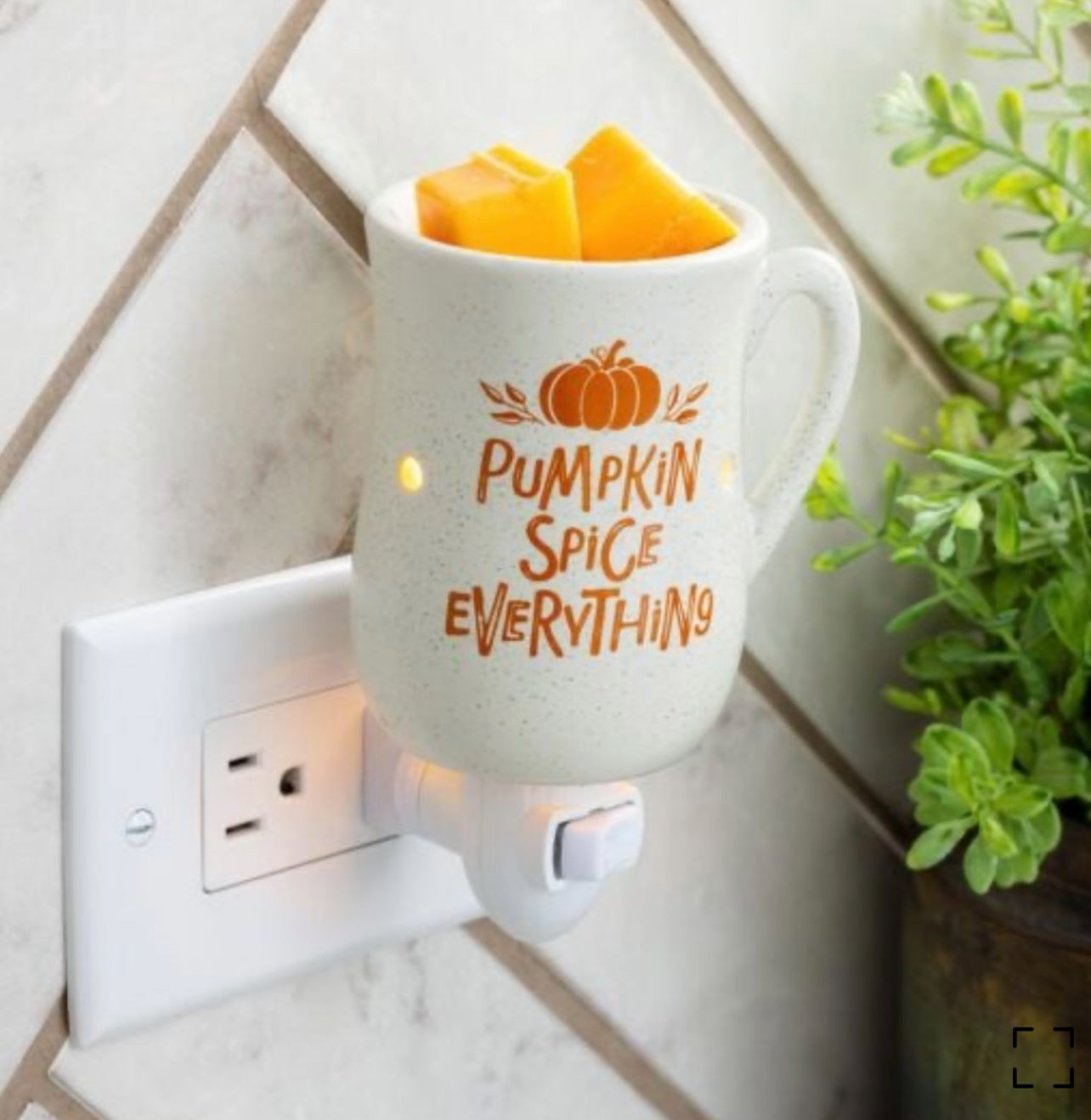 Pumpkin Spice Wall Plug-In Fragrance Warmer
