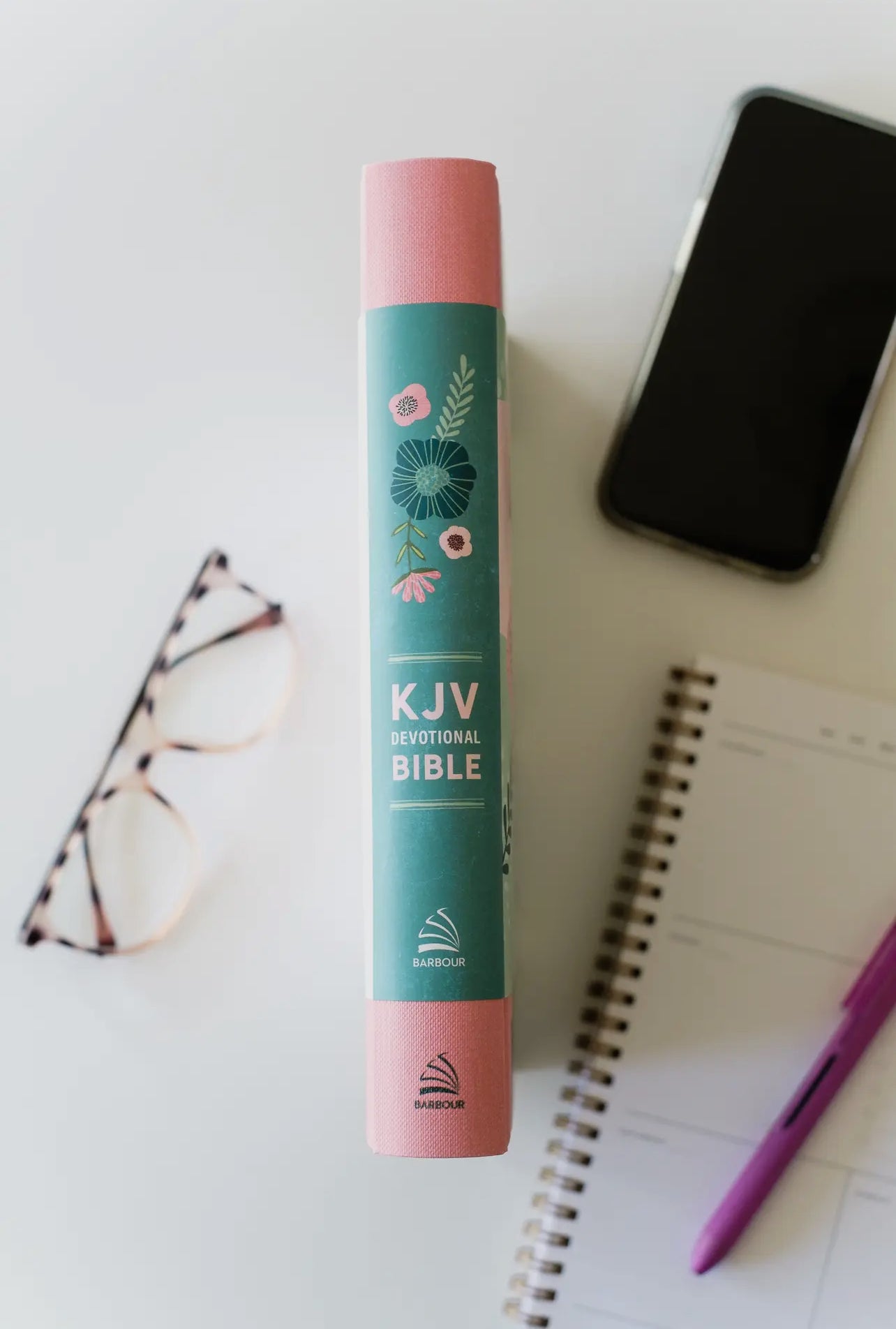 Daily Wisdom for Teen Girls KJV Devotional Bible