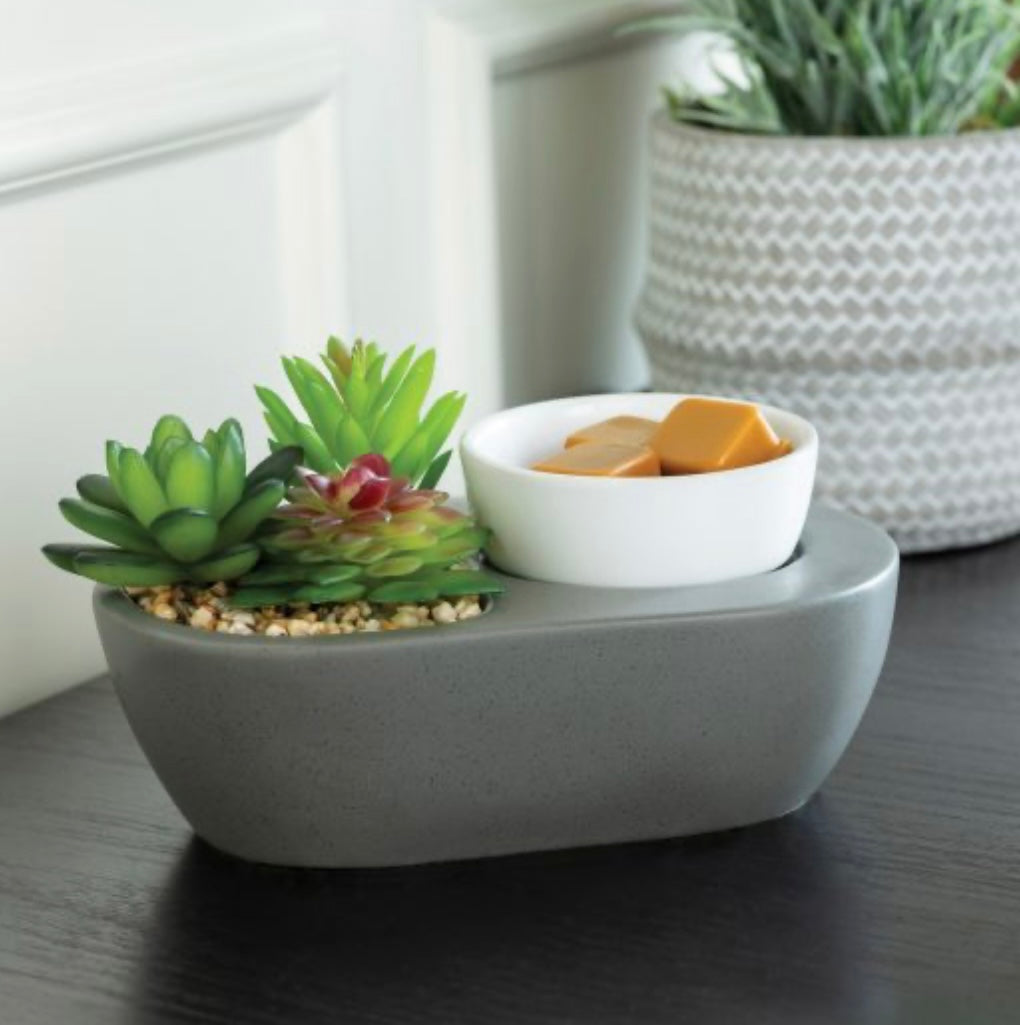 ***Pre-Order***Succulent Wax Warmer