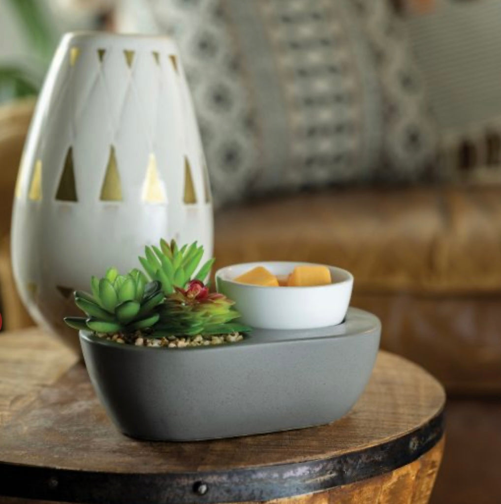 ***Pre-Order***Succulent Wax Warmer