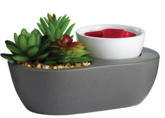 ***Pre-Order***Succulent Wax Warmer